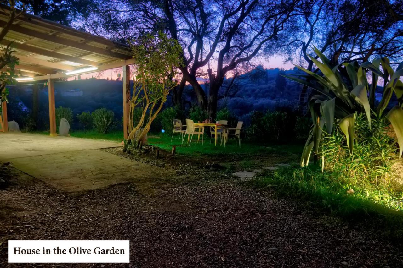 Ferienwohnung House In The Olive Garden Ágios Ioánnis Exterior foto