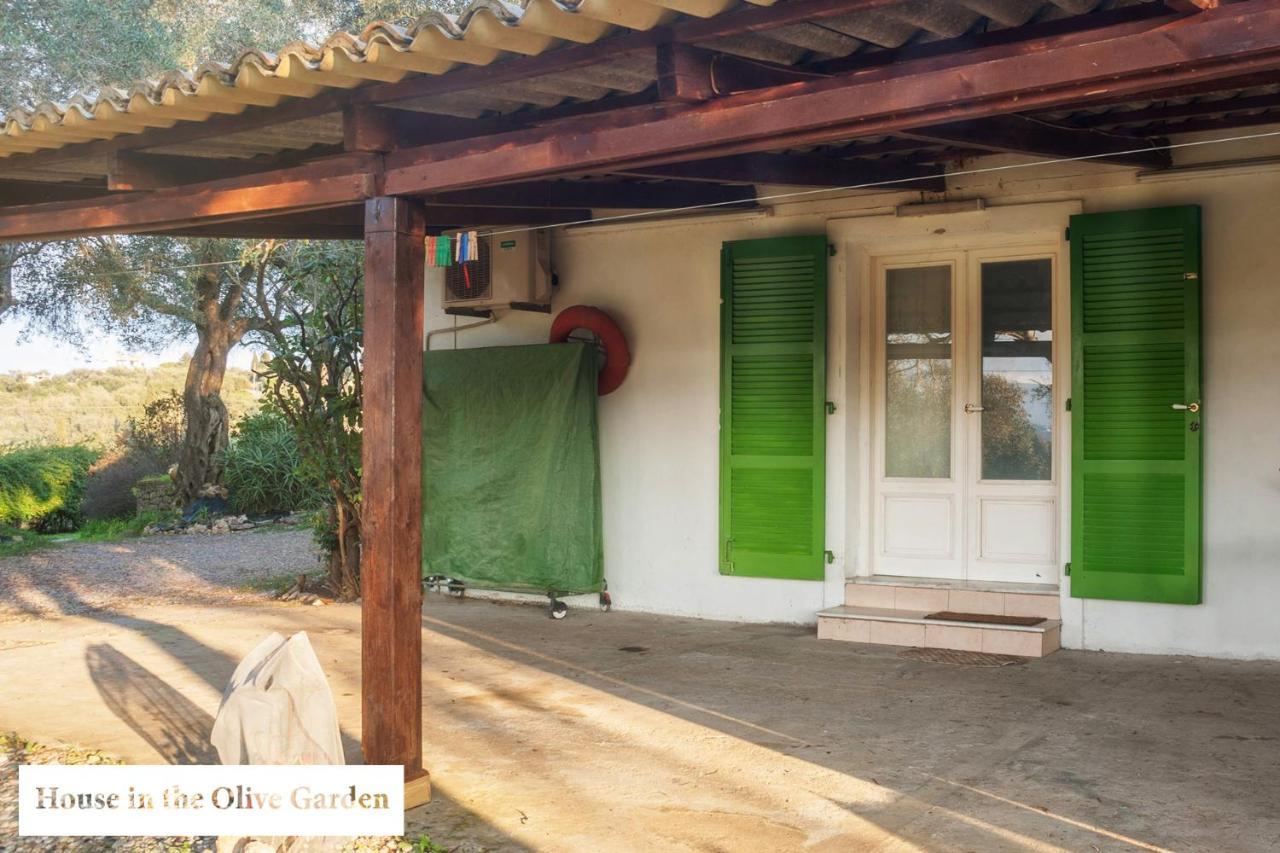 Ferienwohnung House In The Olive Garden Ágios Ioánnis Exterior foto